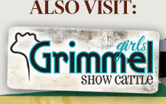 Grimmel Girls Show Cattle